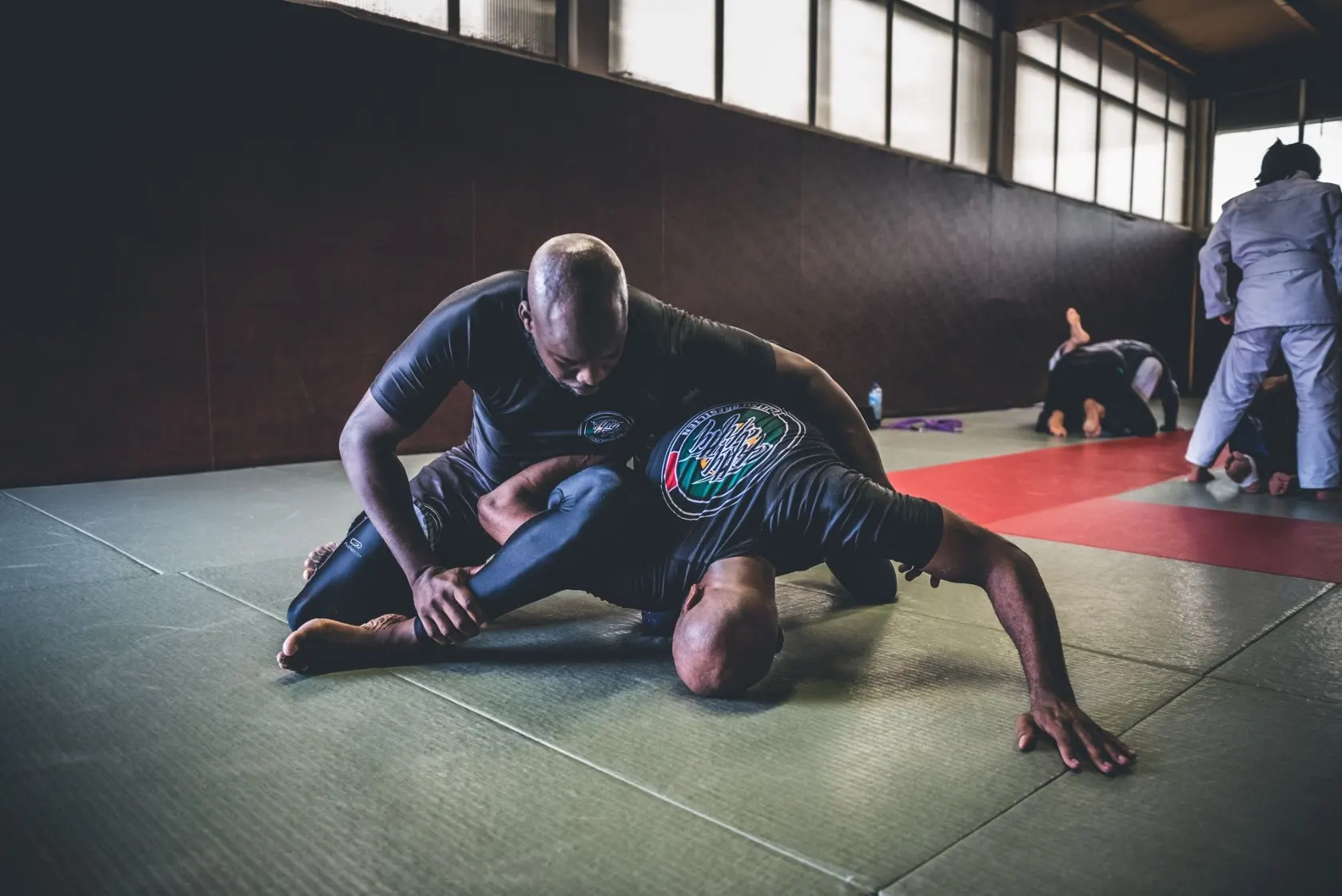 Combat en Grappling No Gi, short et rashguard